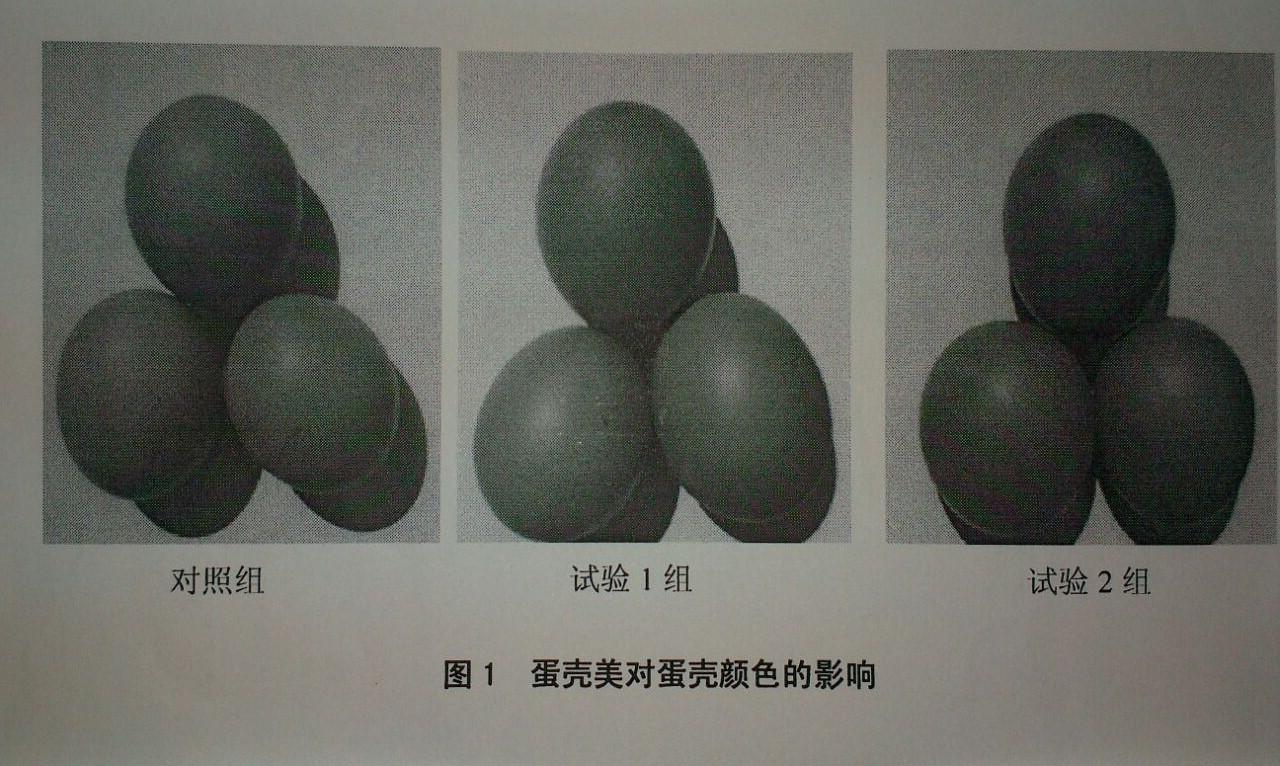 upay钱包 -轻松支付,安心选择