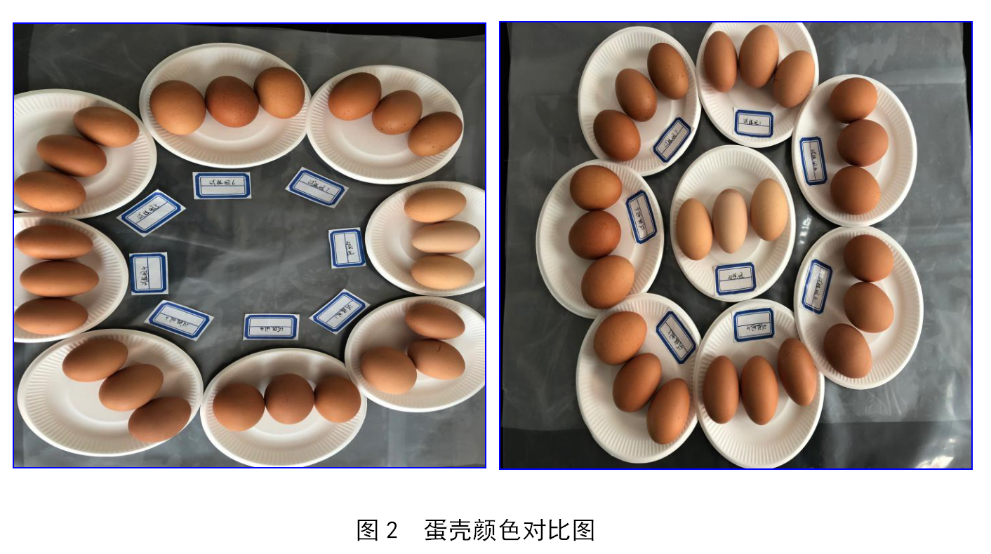 upay钱包 -轻松支付,安心选择