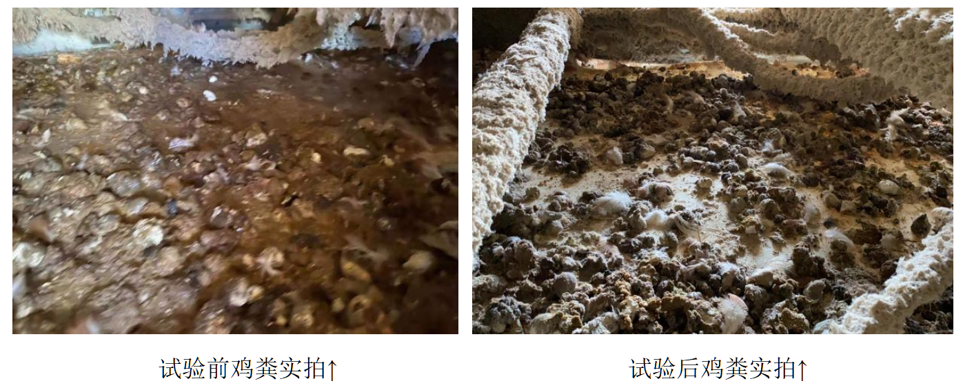 upay钱包 -轻松支付,安心选择