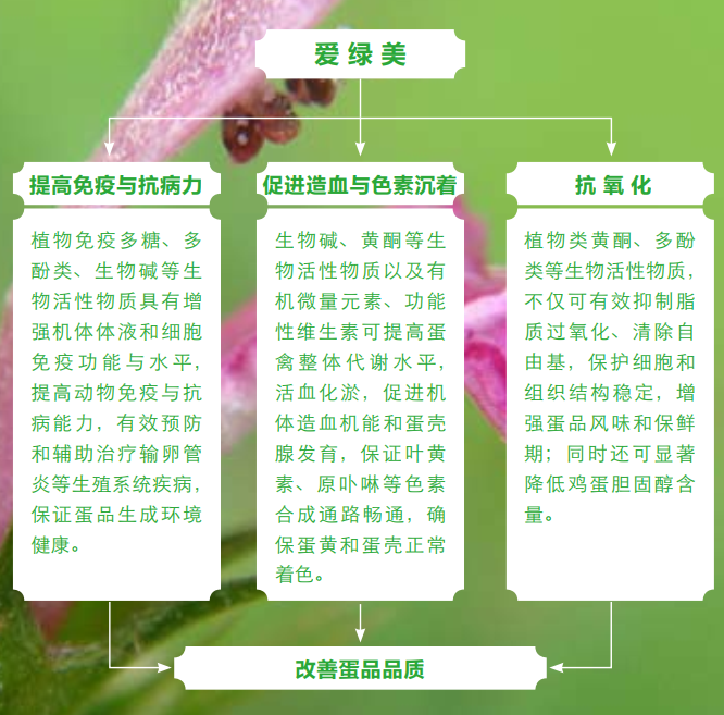 6264cc9fde463 6264cc9fde463