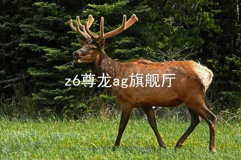 z6尊龙ag旗舰厅